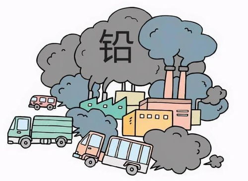 高速沿線綠化與土壤環(huán)境防護(hù) 為何禁種莊稼，重在防治什么？