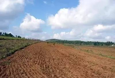 全球視野下的土壤治理 污染防治服務(wù)的國(guó)際經(jīng)驗(yàn)與啟示