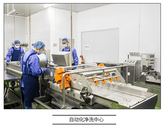 直擊工廠溯源 咚吃如何以科技賦能，保障食品安全新高度