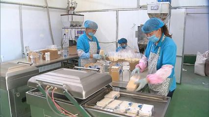 河北 提升產地初加工水平，助力農產品提質增效與優價